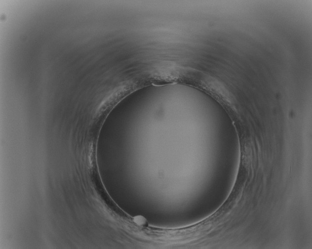 X0000066950023200603311453