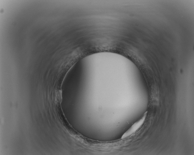 X0000066950025200603311453