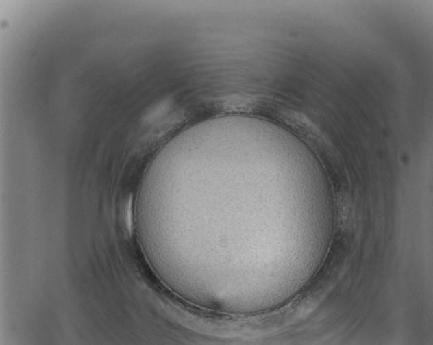 X0000066950028200603311453