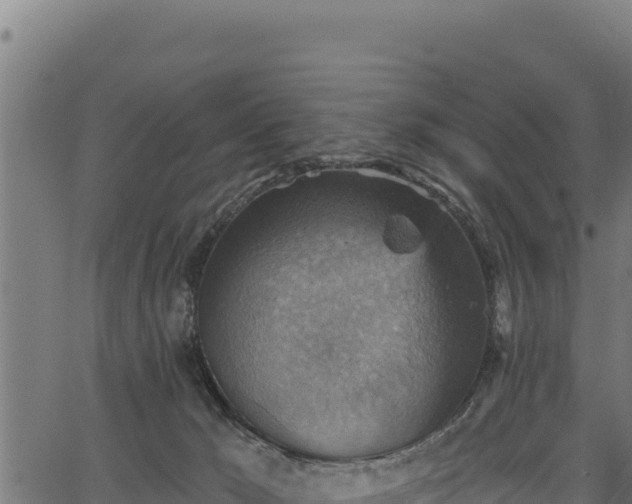 X0000066950029200603311453