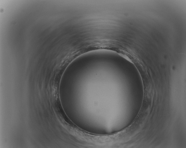 X0000066950031200603311453