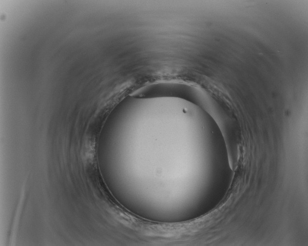 X0000066950033200603311453