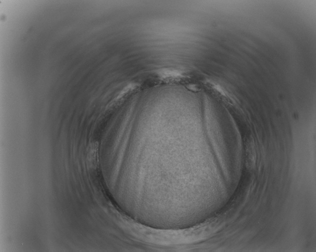 X0000066950034200603311453