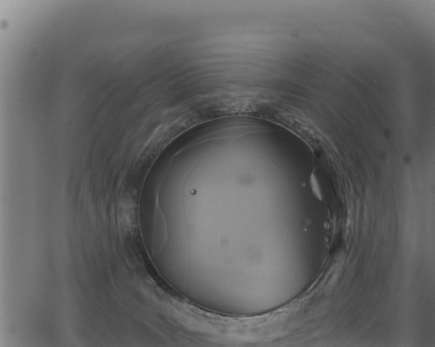 X0000066950035200603311453