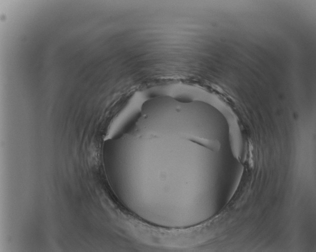 X0000066950039200603311453