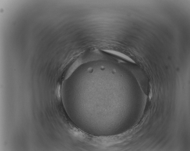 X0000066950041200603311453