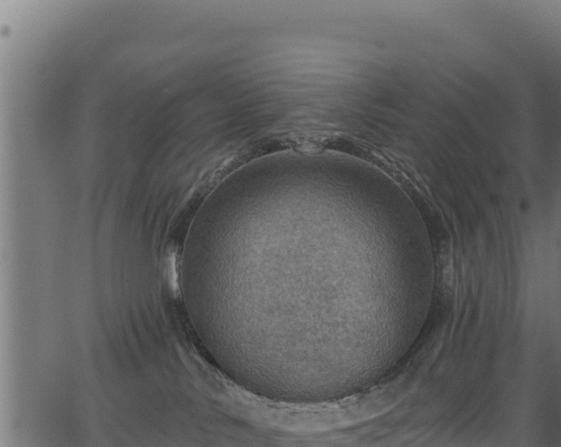 X0000066950042200603311453