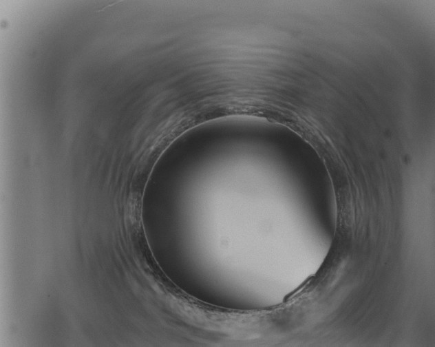 X0000066950044200603311453