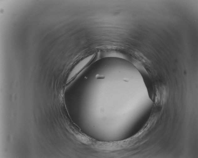 X0000066950045200603311453