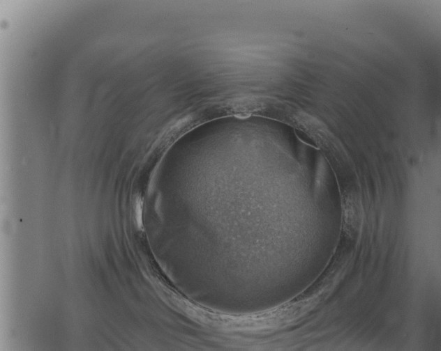 X0000066950046200603311453