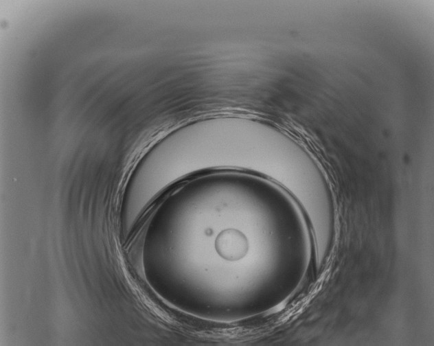 X0000066950049200603311452