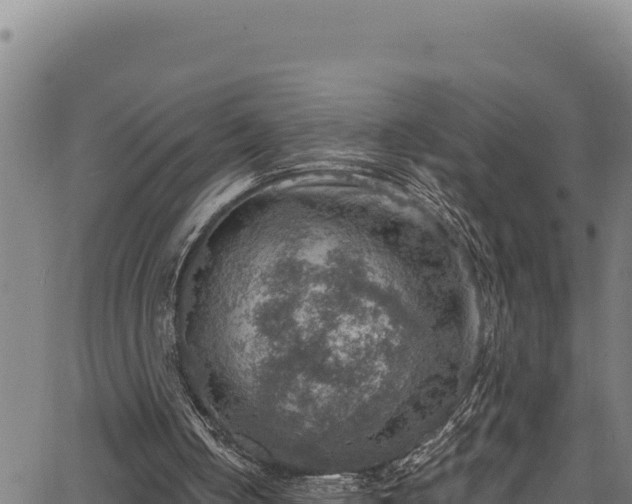 X0000066950050200603311452