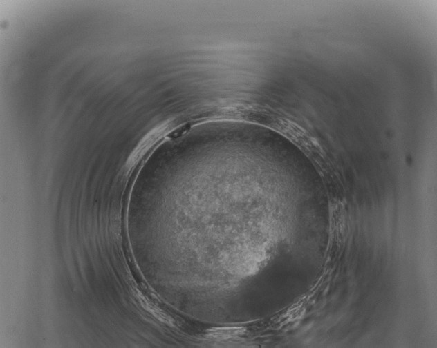 X0000066950051200603311452