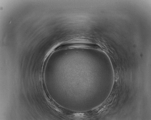 X0000066950052200603311452