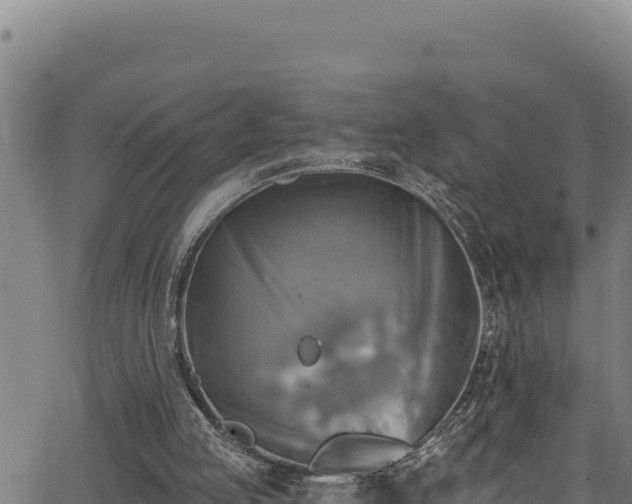 X0000066950053200603311452