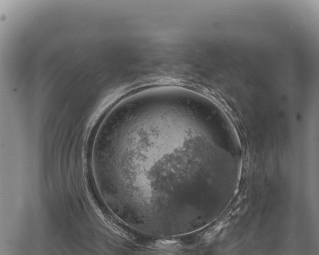 X0000066950055200603311452