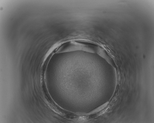 X0000066950056200603311452