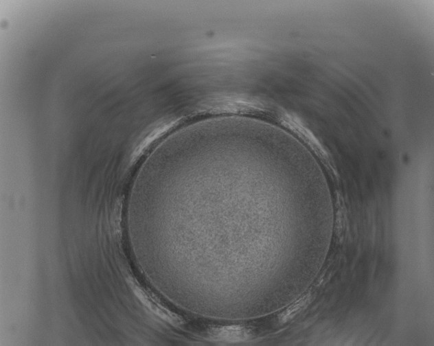 X0000066950058200603311452