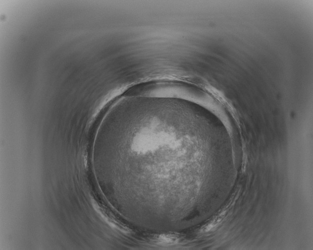 X0000066950060200603311452