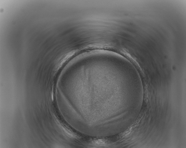 X0000066950062200603311452