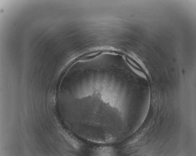 X0000066950063200603311452