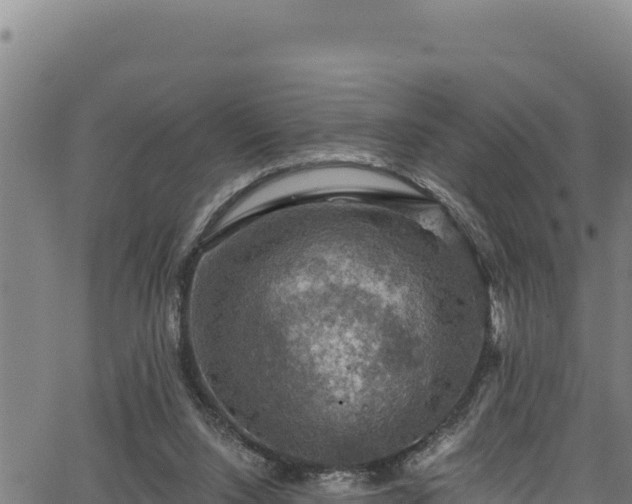 X0000066950064200603311452