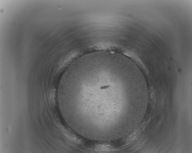 X0000066950066200603311452