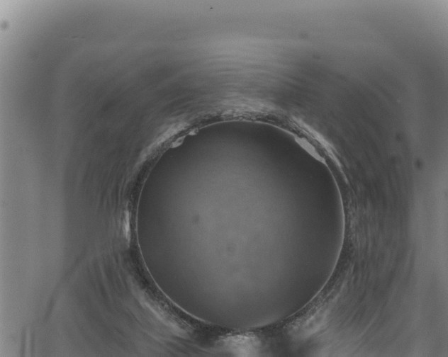 X0000066950067200603311452