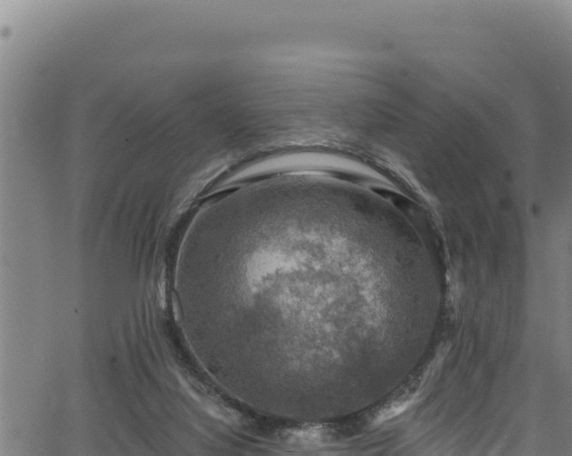 X0000066950068200603311452