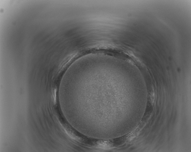 X0000066950070200603311453