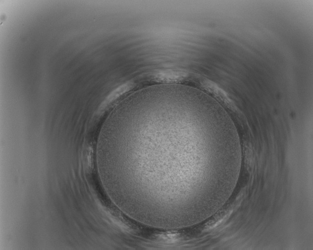 X0000066950071200603311453