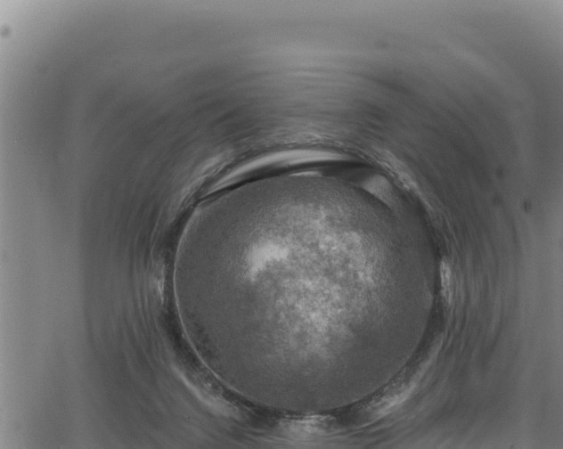 X0000066950072200603311453