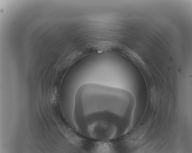 X0000066950073200603311453