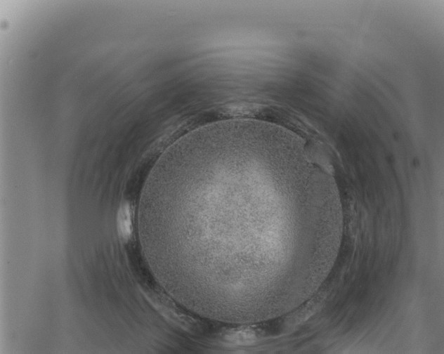 X0000066950075200603311453