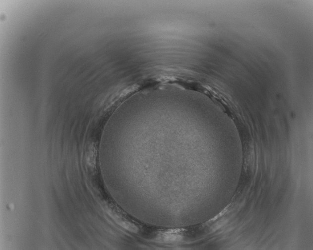 X0000066950078200603311453