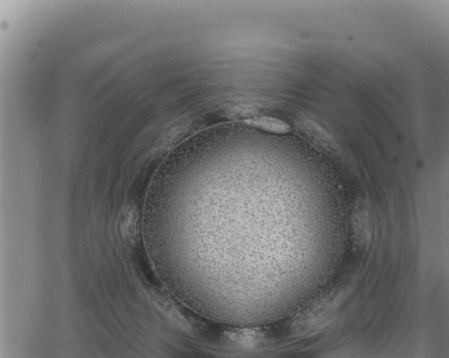 X0000066950079200603311453