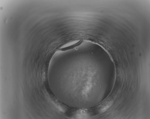 X0000066950080200603311453