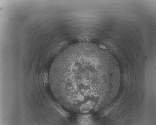 X0000066950081200603311453