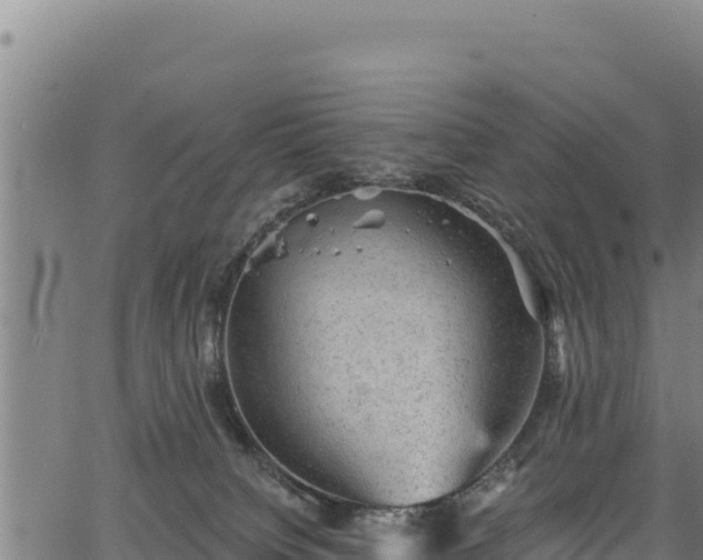 X0000066950084200603311453