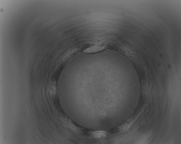 X0000066950085200603311453