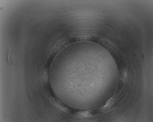 X0000066950086200603311453