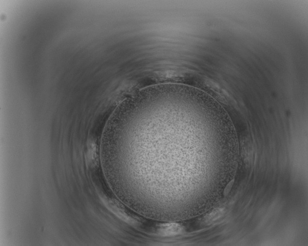 X0000066950087200603311453