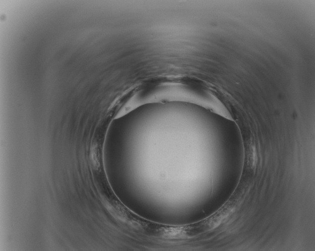 X0000066950088200603311453