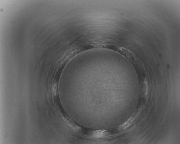 X0000066950090200603311453