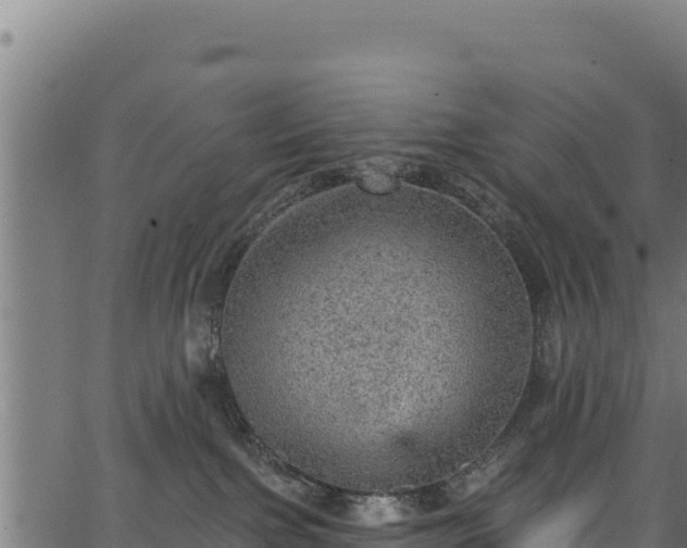 X0000066950091200603311453