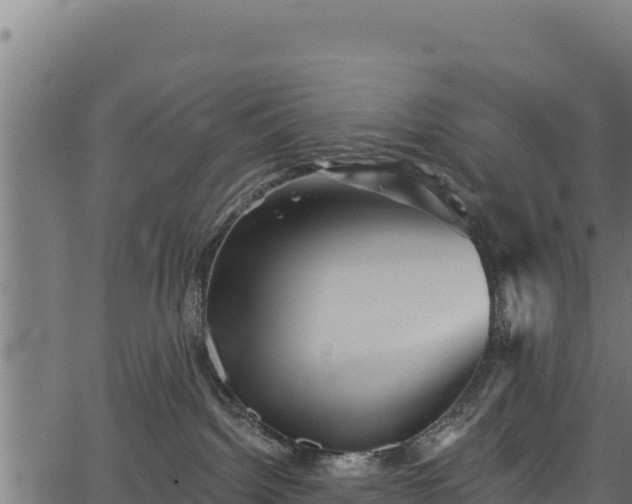 X0000066950092200603311453