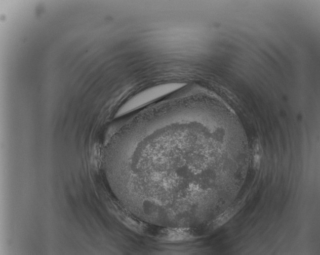 X0000066950093200603311453