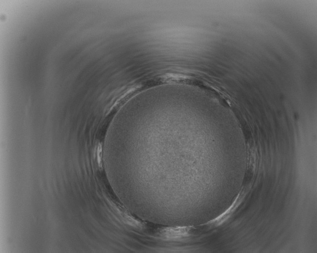 X0000066950094200603311453