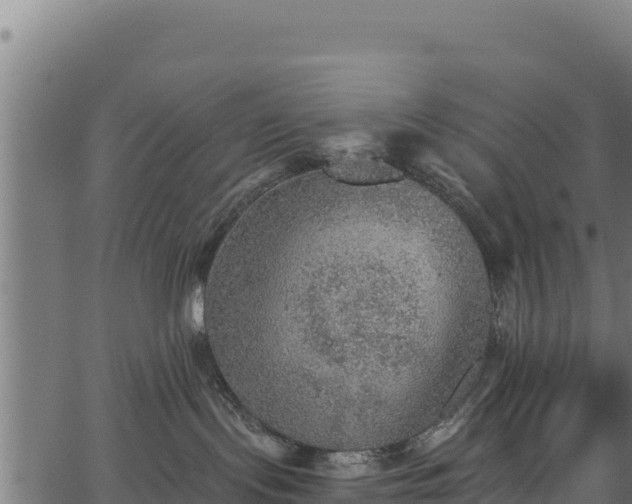 X0000066950095200603311453