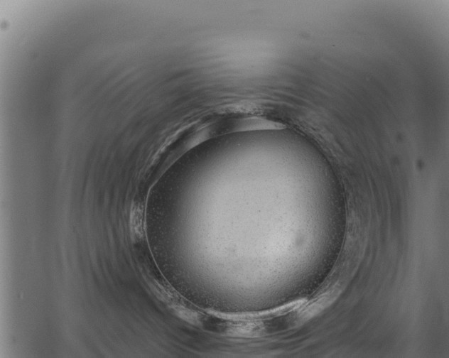 X0000066950096200603311453